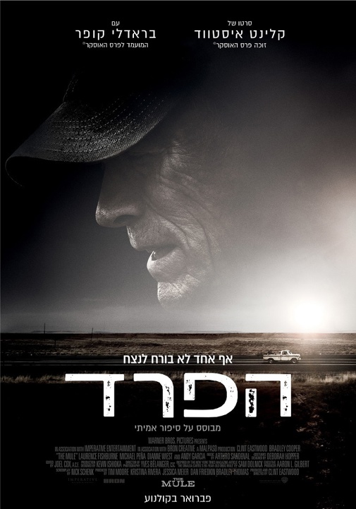 פוסטר